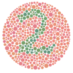 An Ishihara colour plate used to test for colour blindness.